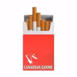 Canadian Goose full - Image 2