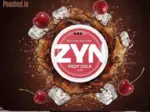 ZYN Fizzy Cola 9mg - Image 2