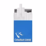 Canadian Goose light - Image 2